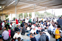 على نفقة أهالي يافا، اللد والرملة - تقديم ألف وجبة افطار في المسجد الأقصى المبارك